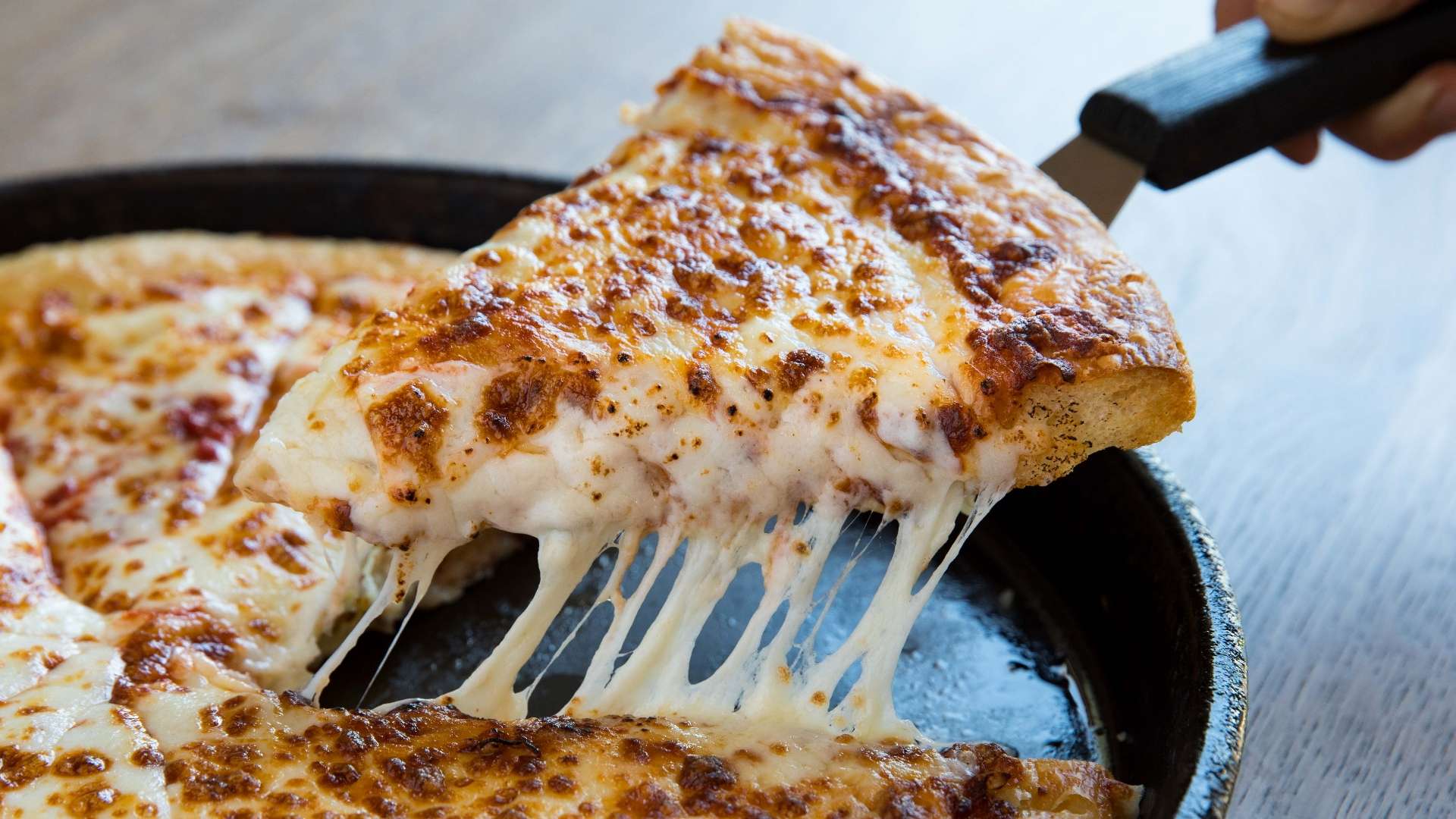 体现了慕尼 体现了慕尼