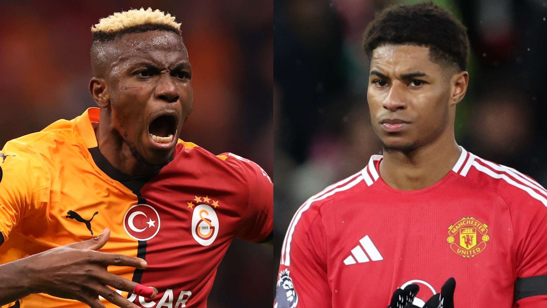 人体工学 人体工学