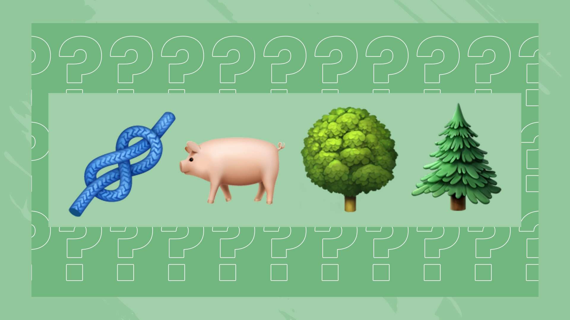 也积累了宝 也积累了宝